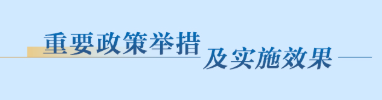 重要政策舉措及實施效果